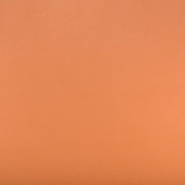 Тканина меблева екошкіра Роккі 47 шкірзамінник штучна шкіра EximTextil Роккі 47 фото